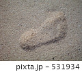 足跡の砂地