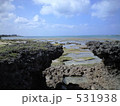 岩礁の海