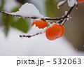 氷柿