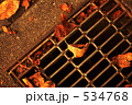 534768