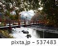 紅葉と吊橋