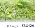 春の花達
