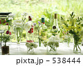 春の花達