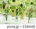 春の花達