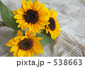 ひまわり-5