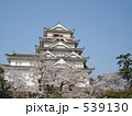 福山城の桜