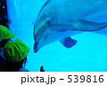 子供とイルカ