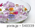 ｆｌｏａｔｉｎｇ　ｆｌｏｗｅｒｓ