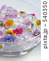 ｆｌｏａｔｉｎｇ　ｆｌｏｗｅｒｓ