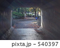 公園のトンネルの写真