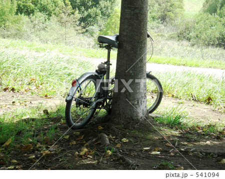 木陰に置かれた自転車
