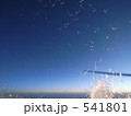 霜降る