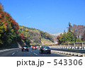 紅葉を見に