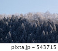 高野龍神スカイラインの樹氷1