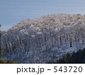 高野龍神スカイラインの樹氷4