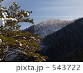 高野龍神スカイラインの樹氷5