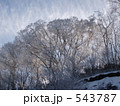 高野龍神スカイラインの樹氷8