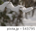 雪の造形『スネーク』
