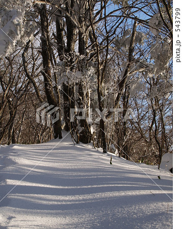 「山道の積雪」の写真素材 「山道の積雪」の写真素材