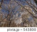樹氷と積雪