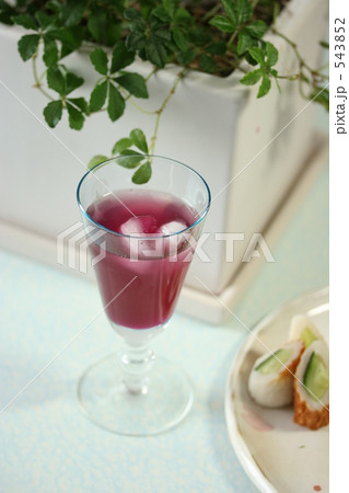 「うちでカクテル」の写真素材
