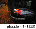 雨と車とモミジ