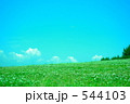 初夏の原っぱ