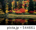 544661