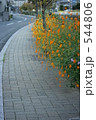 散歩道
