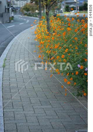 「散歩道」の写真素材