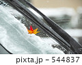 雪とモミジと車