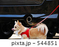 ちーちゃんと車Ⅰ