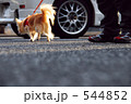 ちーちゃんと車Ⅱ