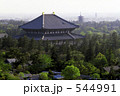 東大寺と興福寺