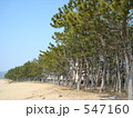 前浜海水浴場