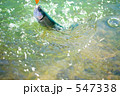 ルアーにヒットした