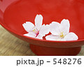 杯と花びら