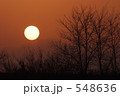 夕陽