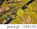 素材ナンバー 549130 : 「無題」