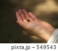 どんぐり拾い
