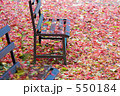 落葉に埋まる