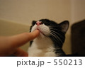 550213