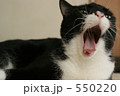 550220