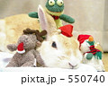 メリークリスマスうさぎ