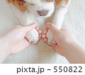 ぎゅっ