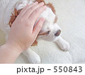なでなで