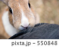つぶらな瞳で