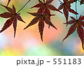 もみじ