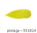551614