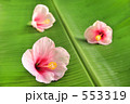 バナナの葉にハイビスカスの花を置く
